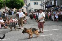 IMG_6350 (2) 